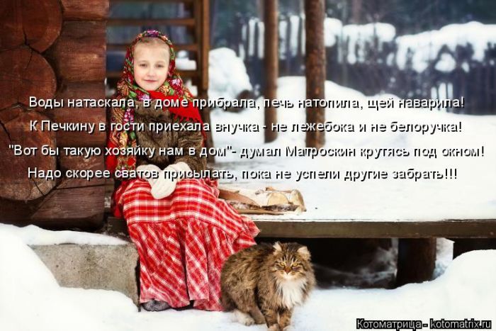 Лучшие котоматрицы недели