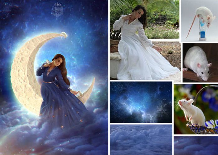 Шедевры фотошопа от Виктории Солидарных