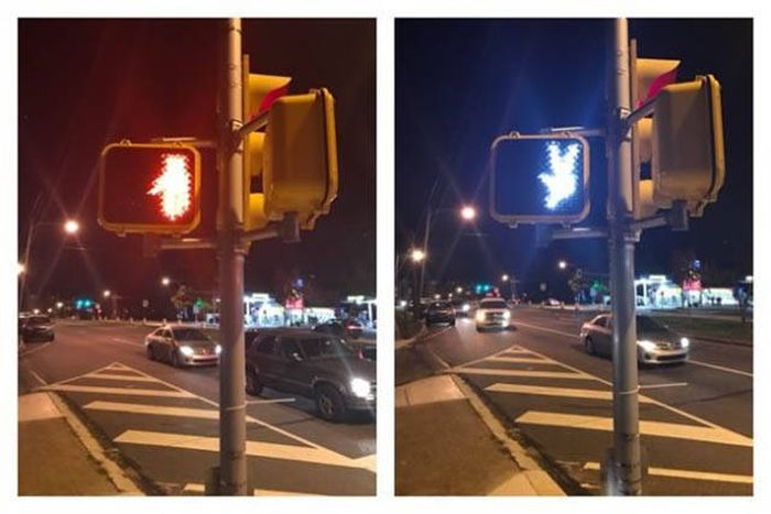 Забавные странности вокруг нас