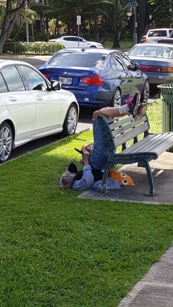 Забавные странности вокруг нас