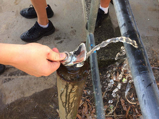 Забавные странности вокруг нас