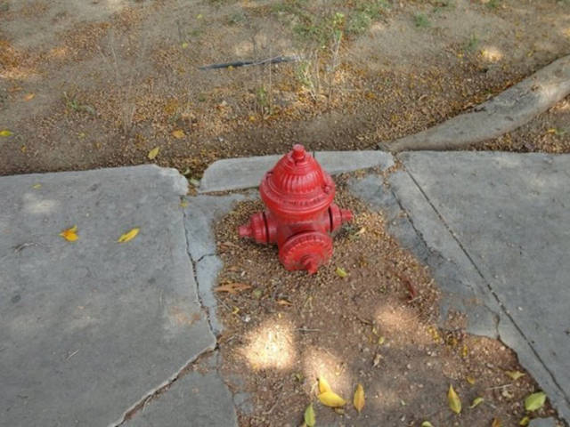 Забавные странности вокруг нас