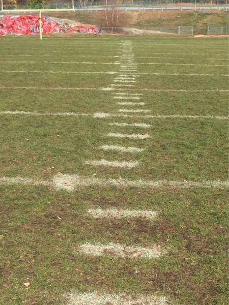 Забавные странности вокруг нас