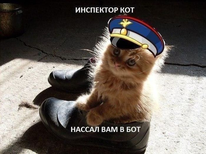 Авто-юмор. Часть 11 (40 фото)