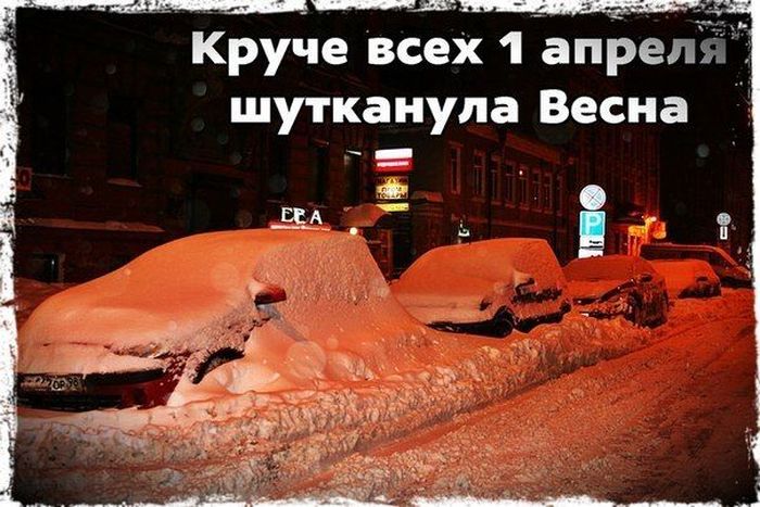 Авто-юмор. Часть 11 (40 фото)