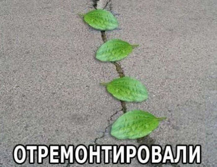 Авто-юмор. Часть 11 (40 фото)