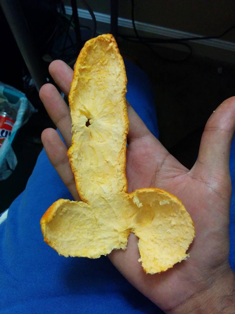 Смешные фотографии, в которых нет абсолютно никакого сексуального подтекста Смешные фотографии, в которых нет абсолютно никакого сексуального подтекста