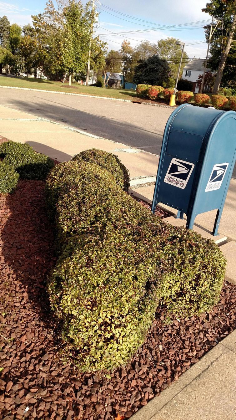 Смешные фотографии, в которых нет абсолютно никакого сексуального подтекста Смешные фотографии, в которых нет абсолютно никакого сексуального подтекста