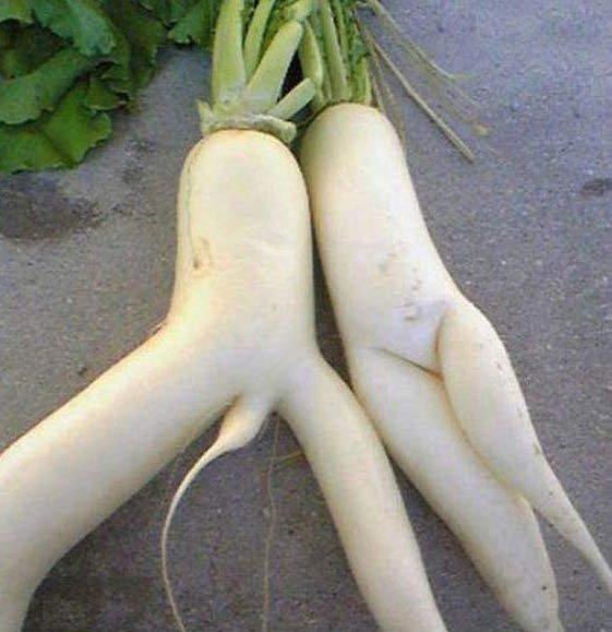 Смешные фотографии, в которых нет абсолютно никакого сексуального подтекста Смешные фотографии, в которых нет абсолютно никакого сексуального подтекста