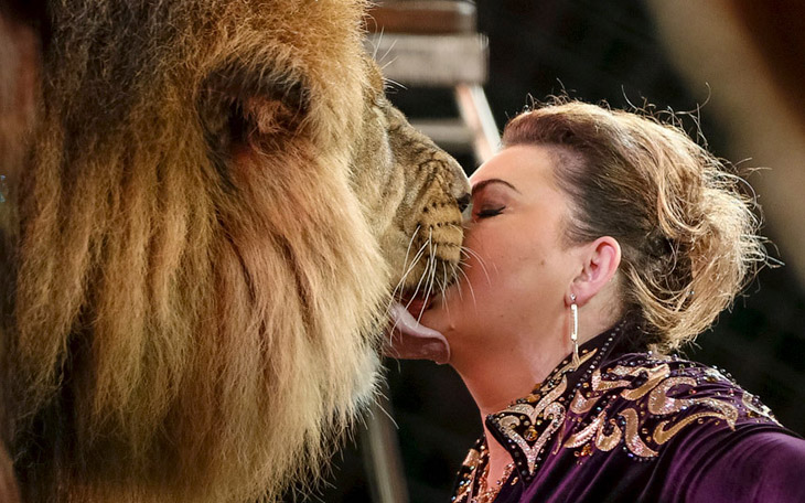 Животные в фотографиях