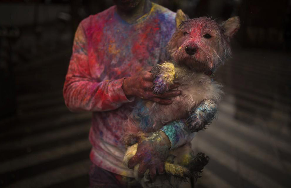 Животные в фотографиях