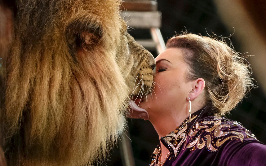 Животные в фотографиях