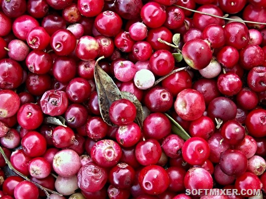 Хитрости, которые помогали путешественникам в прошлом Хитрости, которые помогали путешественникам в прошлом