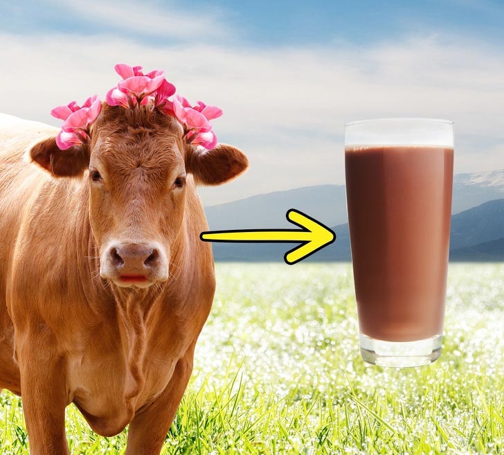 7 нелепых мифов, в которые почему-то верят некоторые люди