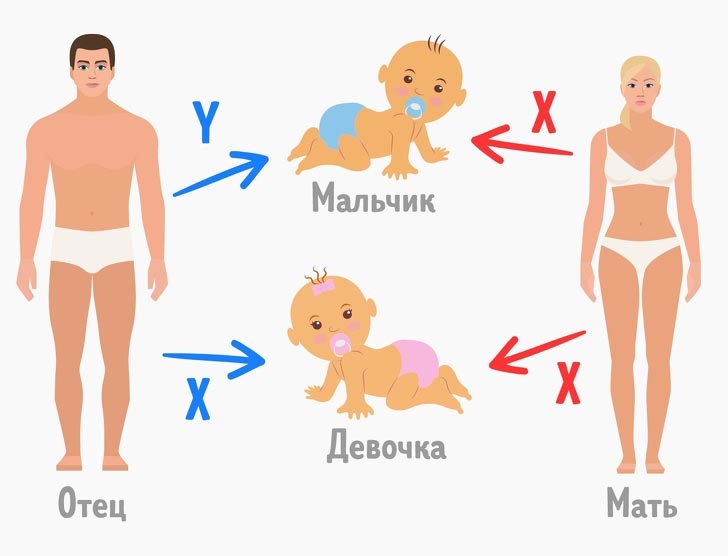 7 нелепых мифов, в которые почему-то верят некоторые люди