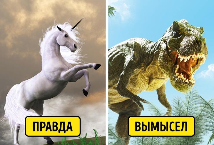 7 нелепых мифов, в которые почему-то верят некоторые люди