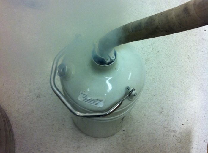 Тараканы и экстремально низкие температуры