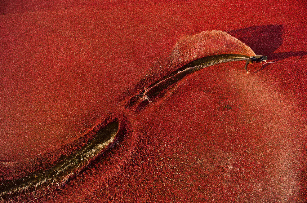 Победители конкурса экстремальной фотографии Red Bull Illume 2013