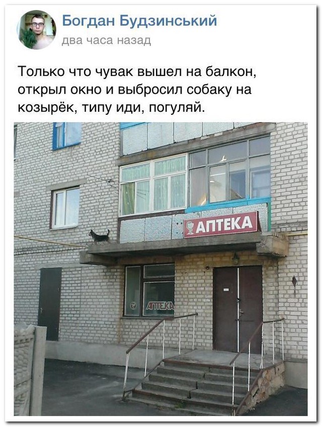 Смешные комментарии из социальных сетей