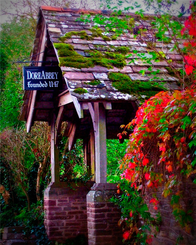 Осенние дома, заросшие плющем (13 фото)