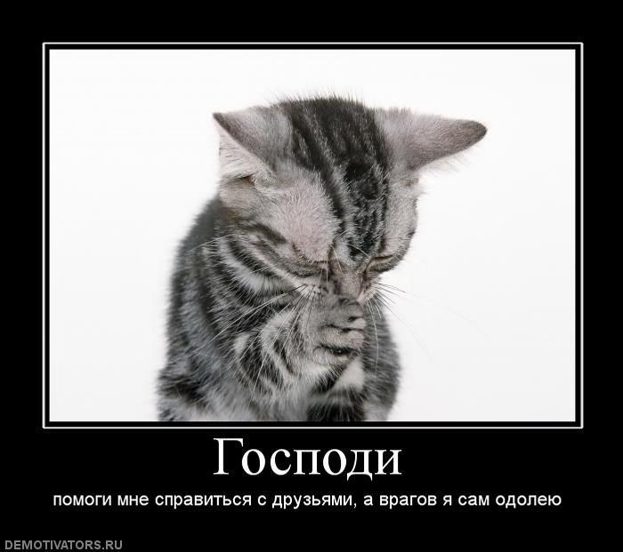 Демтиваторы (63 фото)