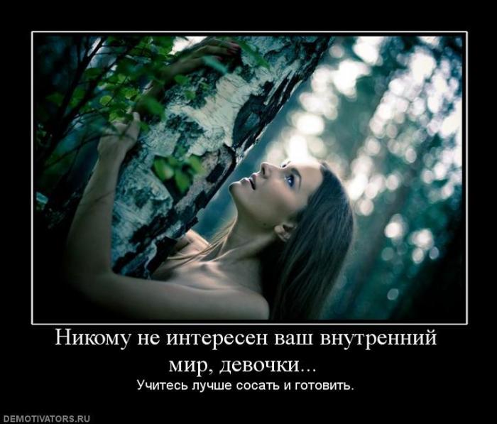 Демтиваторы (63 фото)