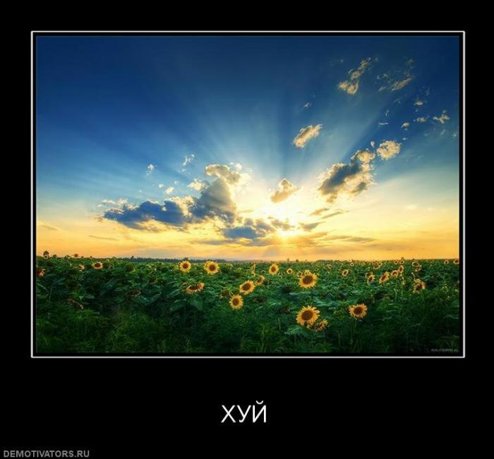 Демтиваторы (63 фото)