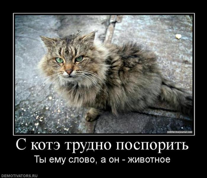 Демтиваторы (63 фото)