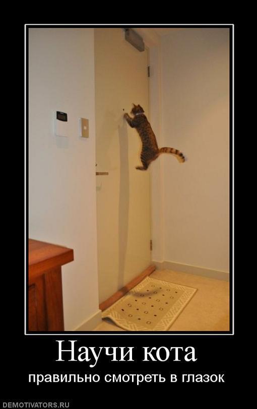 Демтиваторы (63 фото)