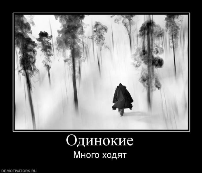 Демтиваторы (63 фото)