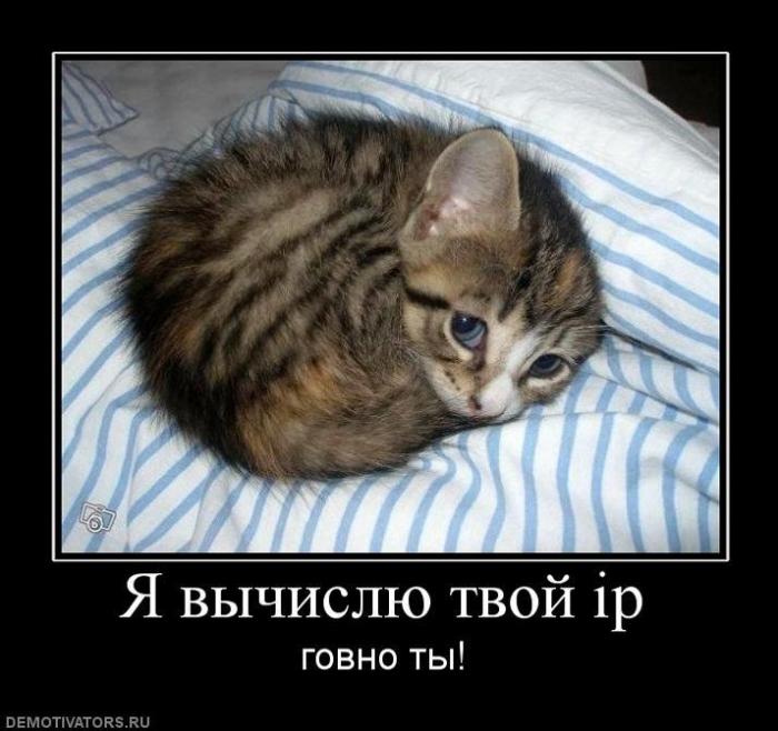 Демтиваторы (63 фото)