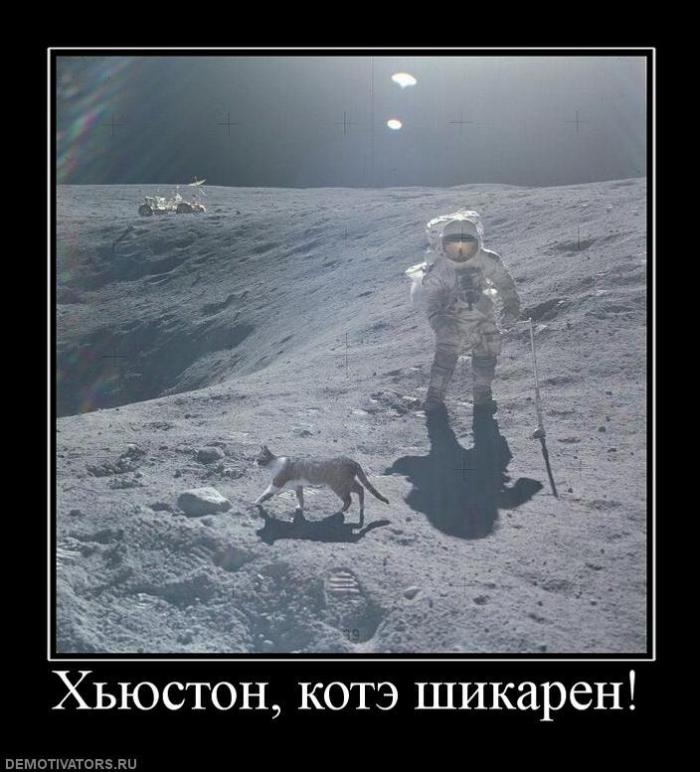 Демтиваторы (63 фото)