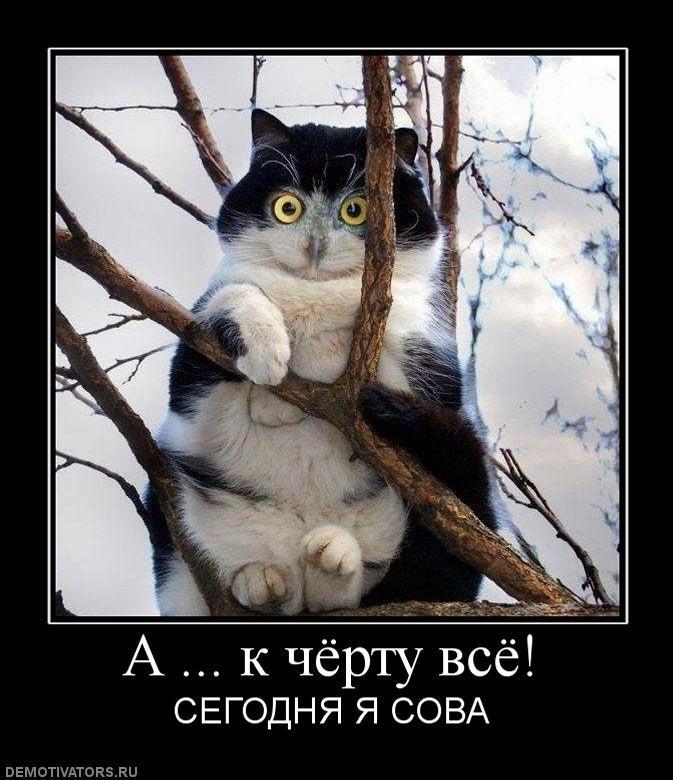 Демтиваторы (63 фото)