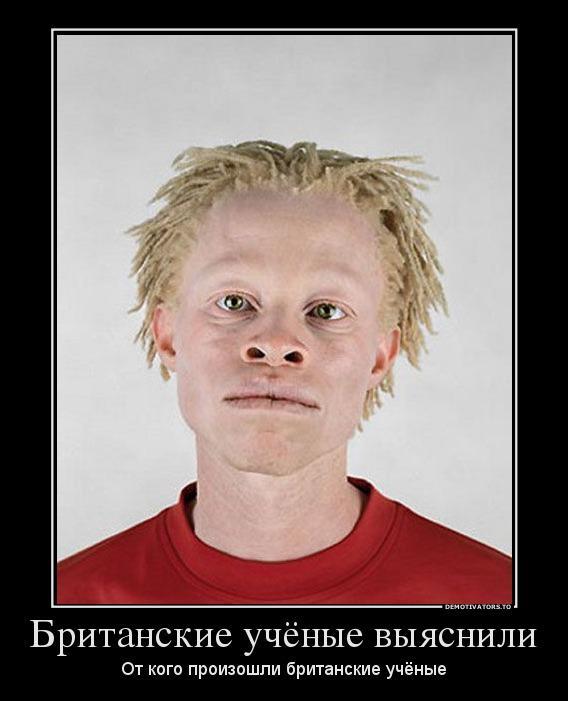 Демтиваторы (63 фото)