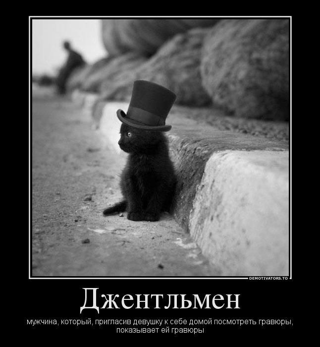 Демтиваторы (63 фото)