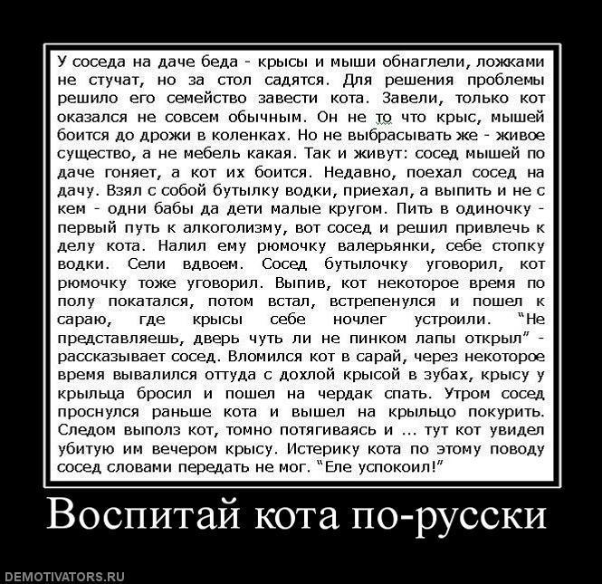 Демтиваторы (63 фото)