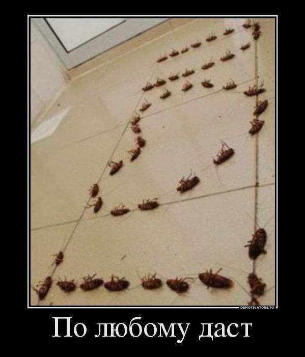 Демтиваторы (63 фото)