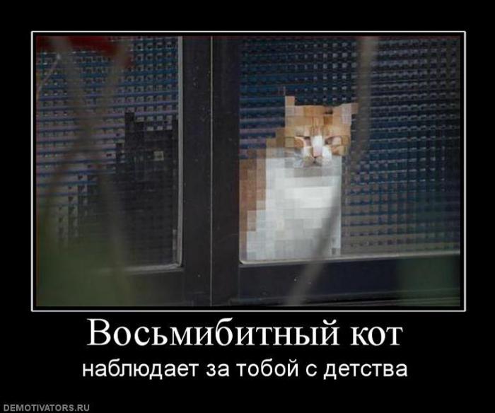 Демтиваторы (63 фото)