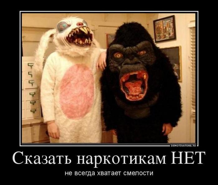 Демтиваторы (63 фото)