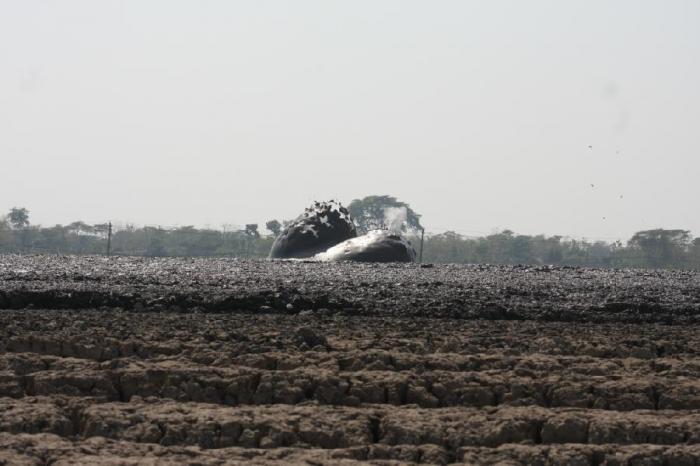Фотографии грязевого взрыва (10 фото)