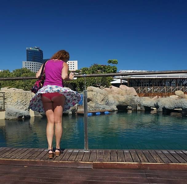 Забавные девушки