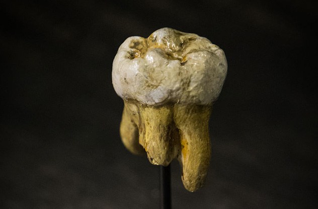 10 таинственных человеческих популяций