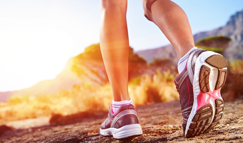 Вся правда о протеиновой диете