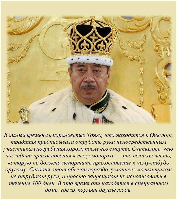 Интересные факты в картинках