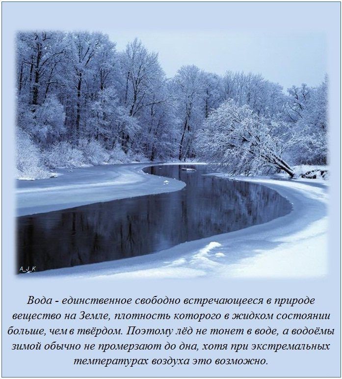 Интересные факты в картинках