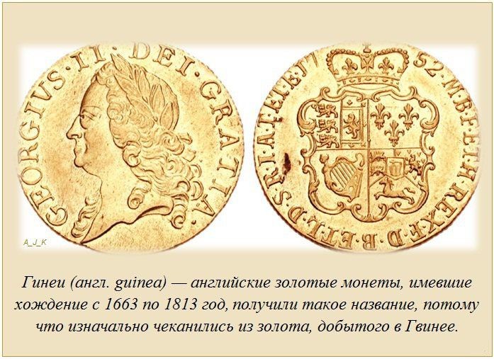 Интересные факты в картинках