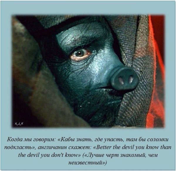 Интересные факты в картинках