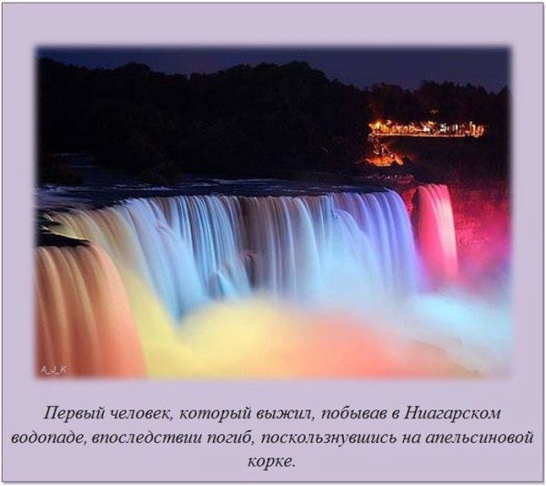 Интересные факты в картинках