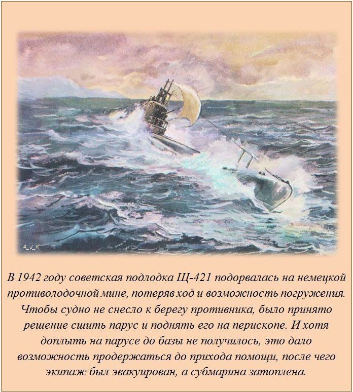 Интересные факты в картинках