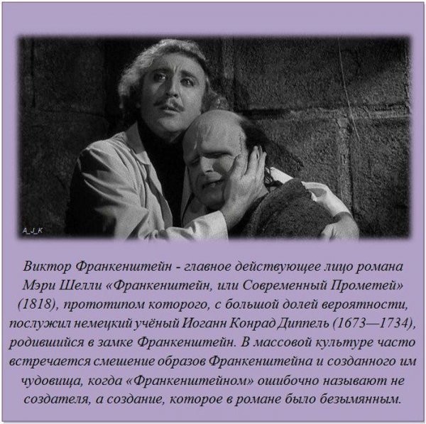 Интересные факты в картинках